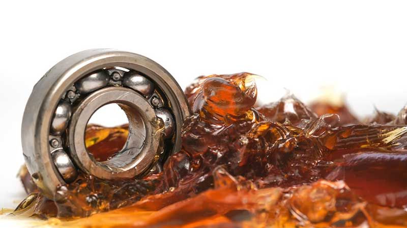 揭秘ROVAS：一家以“专注”为核心竞争力的企业